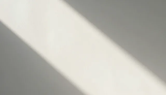 选择会务接待服务时,如何判断其专业性?